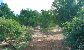 Imagem 2: Vendo sítio com 30 tarefas de terra mais casas