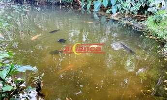 Imagem 3: CHÁCARA Á VENDA COM 2.070,00m² - LINDO LAGO COM CARPAS NO RECREIO SÃO JORGE - GUARULHOS/SP