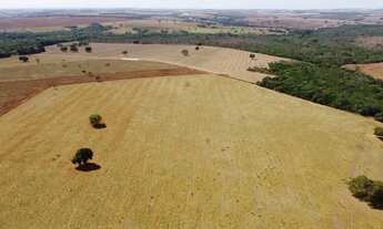 Imagem 6: 2 alqueires 50 km de Goiânia 40% formado 60% mata nativa