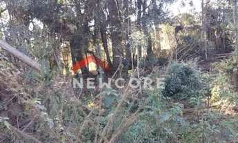 Imagem 5: Chácara em Rua João Bortolan - Colônia Murici - São José dos Pinhais/PR