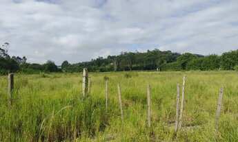 Imagem 7: Lote em Rodovia Professor Alfredo Rolim de Moura - Cocuera - Mogi das Cruzes/SP