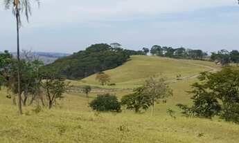 Imagem 2: Fazenda 275 Alqueires - Cultura