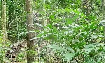Imagem 7: Terreno à venda em Caraguatá - SP