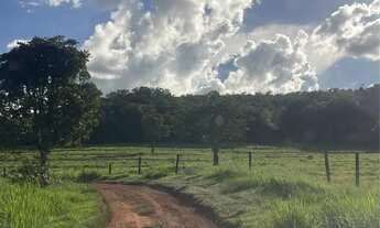 Imagem 5: Fazenda campina verde
