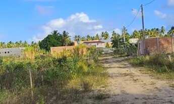 Imagem 2: Vende-se terreno em coruripe 8x20