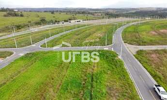 Imagem 7: Lote Vinhas Flamboyant