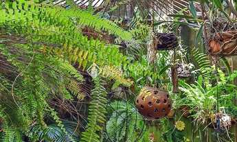 Imagem 5: Casa diferenciada, feita para pessoas exigentes. Um verdadeiro refúgio urbano no Centro Hi