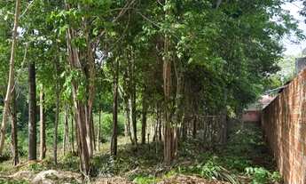 Imagem 4: Fazenda Real- Excelente terreno