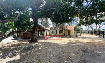 Imagem 3: Chácara 5,12 Alqueire (24,78 hectares) Mairipotaba - Go