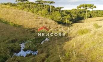 Imagem 3: Sítio em Interior - Interior - Zona Rural - São Francisco de Paula/RS
