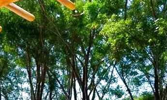 Imagem 7: Ekoa Reserva Sapiranga - Alameda dos Coqueiros - Mata de São João