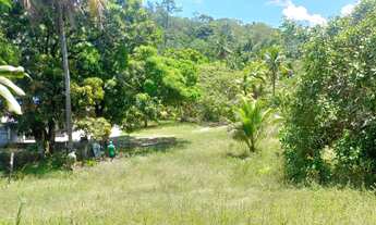 Imagem 3: Terreno de 60.000m2 a 300 metros da praia