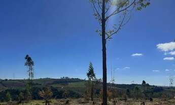 Imagem: Invista! Lote 500m² Próximo à Represa