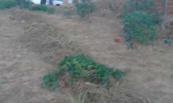 Imagem 2: Terreno para Venda em Presidente Prudente, NOVO PRUDENTINO