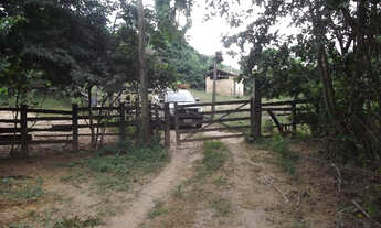 Imagem 4: Linda Fazendinha com rio nos fundos, Jaboticatubas (Temos mais opções