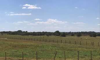 Imagem 6: 202 Alqueires em Paraúna Go