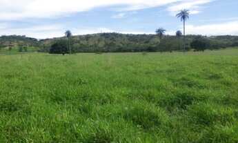 Imagem 4: Linda fazenda de 33,4 ha,Jequitibá(Temos varias opções)