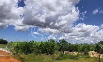 Imagem 7: Oportunidade 4 Hectares Prox. ao Centro