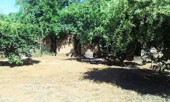 Imagem 6: Casa com 3 dormitórios à venda por R$ 1.650.000,00 - Gurupi - Teresina/PI