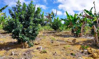 Imagem 5: Sítio em Domingos Martins com Pomar