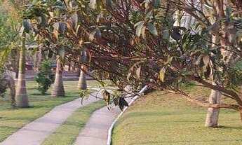 Imagem 2: Sítio com 4 dormitórios à venda, 6200 m² por R$ 1.250.000,00 - Granja Mafra - Teresópolis