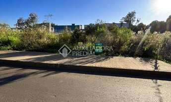 Imagem 2: LAJEADO - Terreno Padrão - Montanha