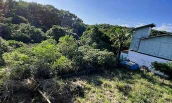 Imagem 6: Terreno no Rio Tavares