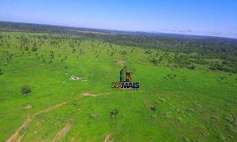 Imagem 3: Fazenda à venda, por R$ 6.000.000 - centro - Colniza/MT