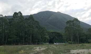 Imagem 7: LINDA ÁREA COM 42.000 METROS COM VIABILIDADES NA BEIRA DA BR-101 - PALHOÇA