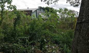 Imagem 4: Terreno em Sarandi