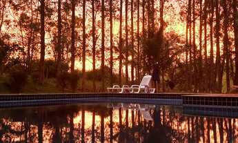 Imagem 4: Sítio Chácara com venda por R$800.000