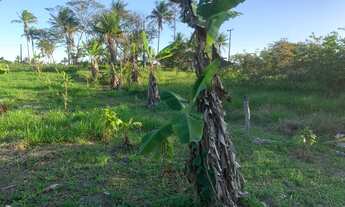 Imagem 4: Sítio 12 tarefas Gandaia - Guerem