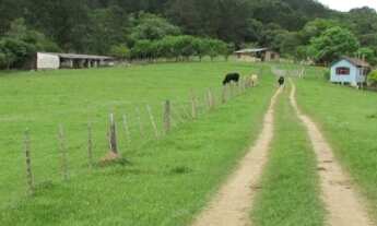 Imagem 3: Sítio em Lageado