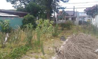 Imagem 3: Terreno em Tristeza