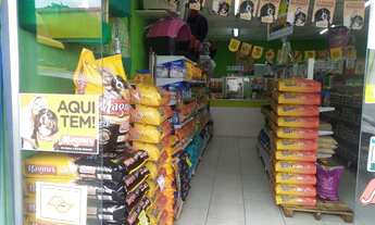 Imagem 2: Pet shop completo santo André