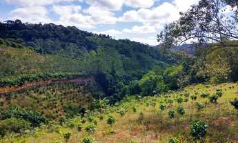 Imagem 4: Sítio em Domingos Martins com Pomar