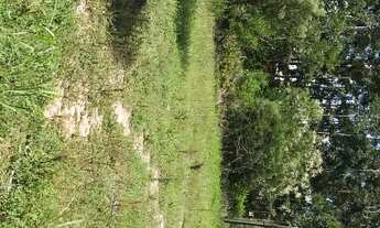 Imagem 2: LINDA ÁREA COM 42.000 METROS COM VIABILIDADES NA BEIRA DA BR-101 - PALHOÇA