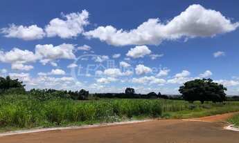 Imagem 6: Oportunidade 4 Hectares Prox. ao Centro