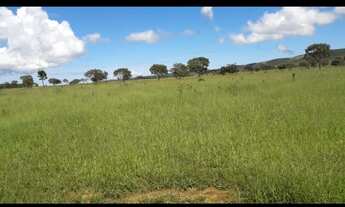 Imagem: Vende-se uma excelente fazenda de 350 Alqueires