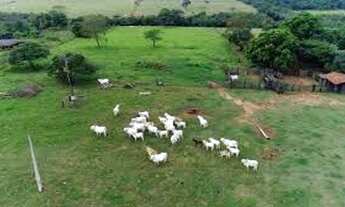 Imagem: Terra com 300 Hectares