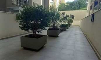 Imagem: Apartamento 68 m2 para alugar em Bragança