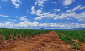 Imagem 5: Fazenda em mococa 88 alqueires 20.000.000.00 ( sand