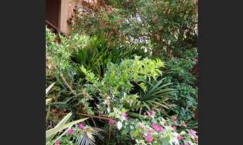 Imagem 7: Casa de condomínio para venda possui 85 metros quadrados com 3 quartos em Pilarzinho - Cur