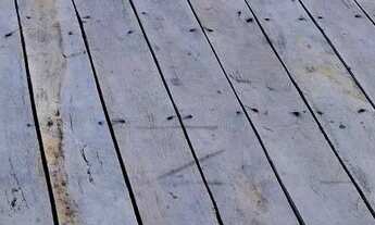 Imagem 6: Terreno ilha do combu