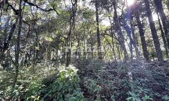 Imagem 7: TERRENO EM GRAMADO