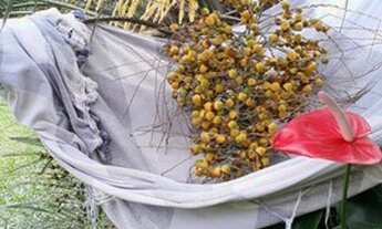 Imagem 3: Residencial pé na areia. Linda localidade com 5 edificações. Terreno com 933,41 m² e 439,0