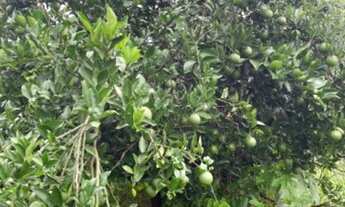 Imagem 3: Chacara Terreno / lote com venda por R$165.000