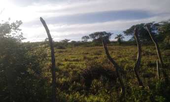 Imagem 2: Terreno com 98 Tarefas