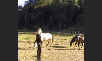 Imagem 7: Penedo, terrenos próximo centrinho (800 metros quadrados , planos , escriturados