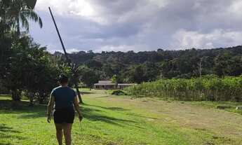 Imagem 3: Vendo fazenda Fazenda / sítio com venda por R$450.000